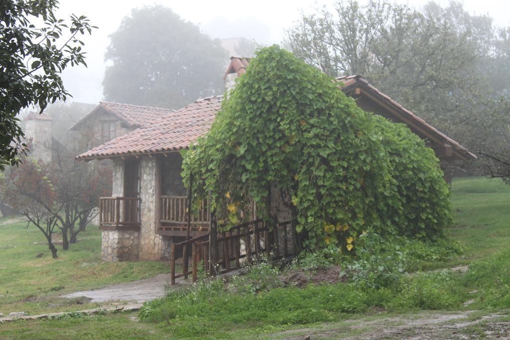 La Tierra Grande Zacatlán Quarto foto